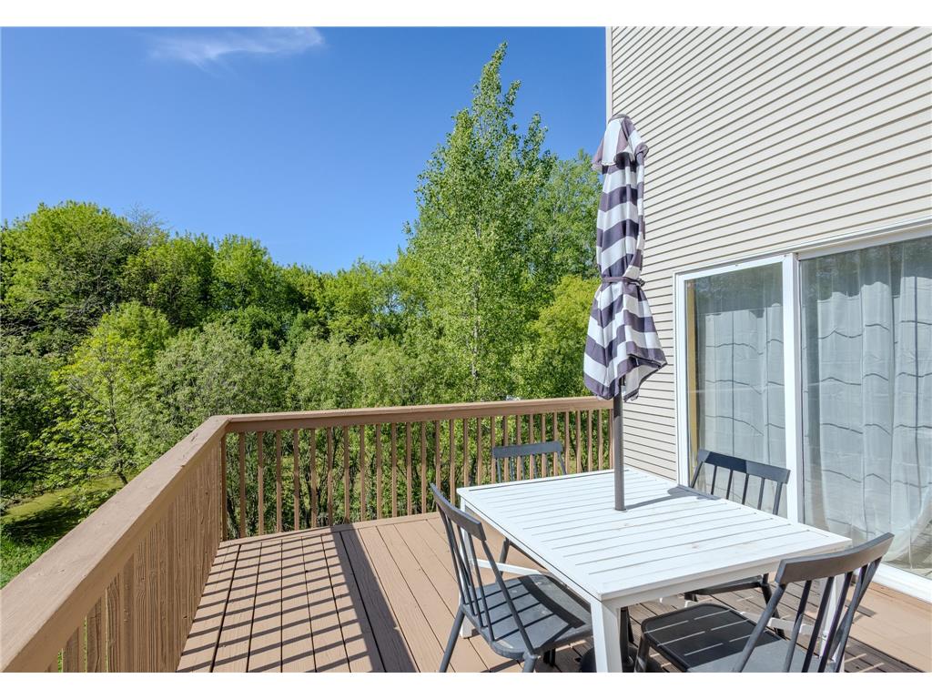 16210 39th Place N Plymouth MN 55446 7076629 image49