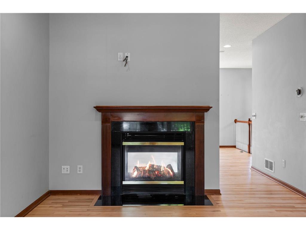 16217 50th Avenue N Plymouth MN 55446 7046898 image15