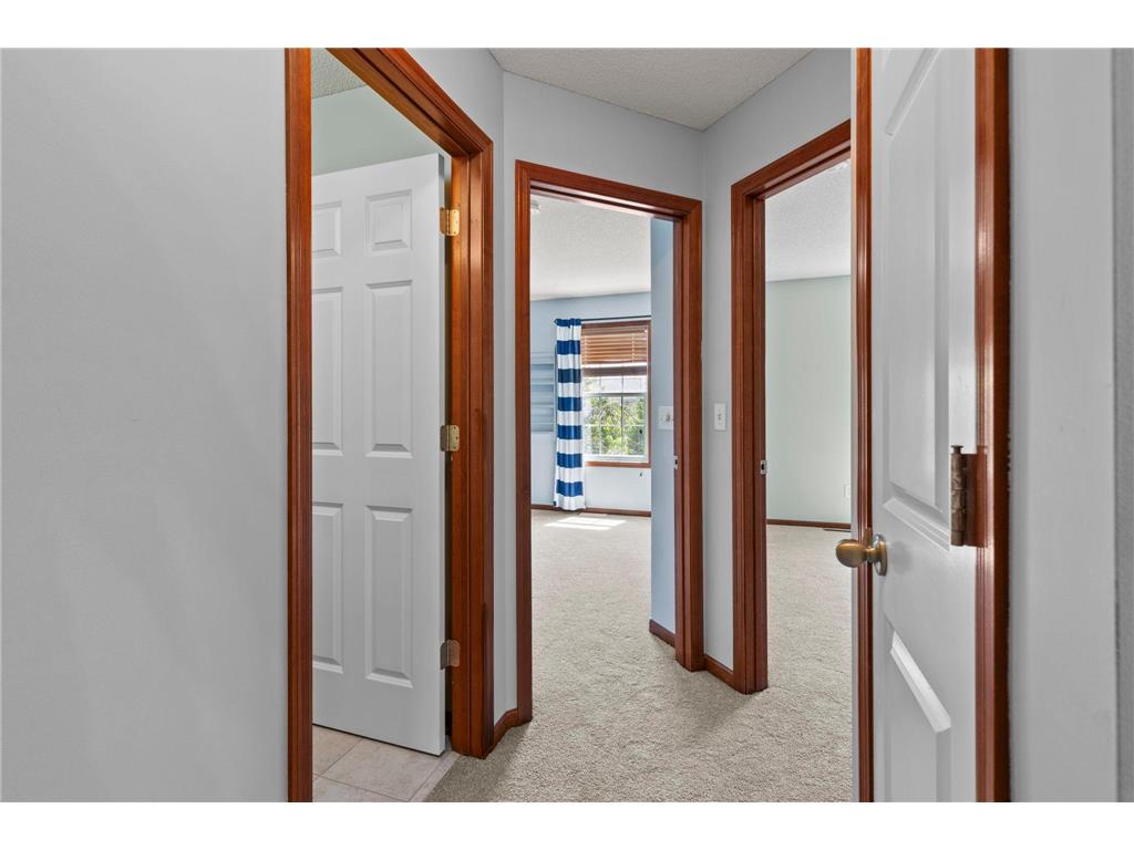 16217 50th Avenue N Plymouth MN 55446 7046898 image27