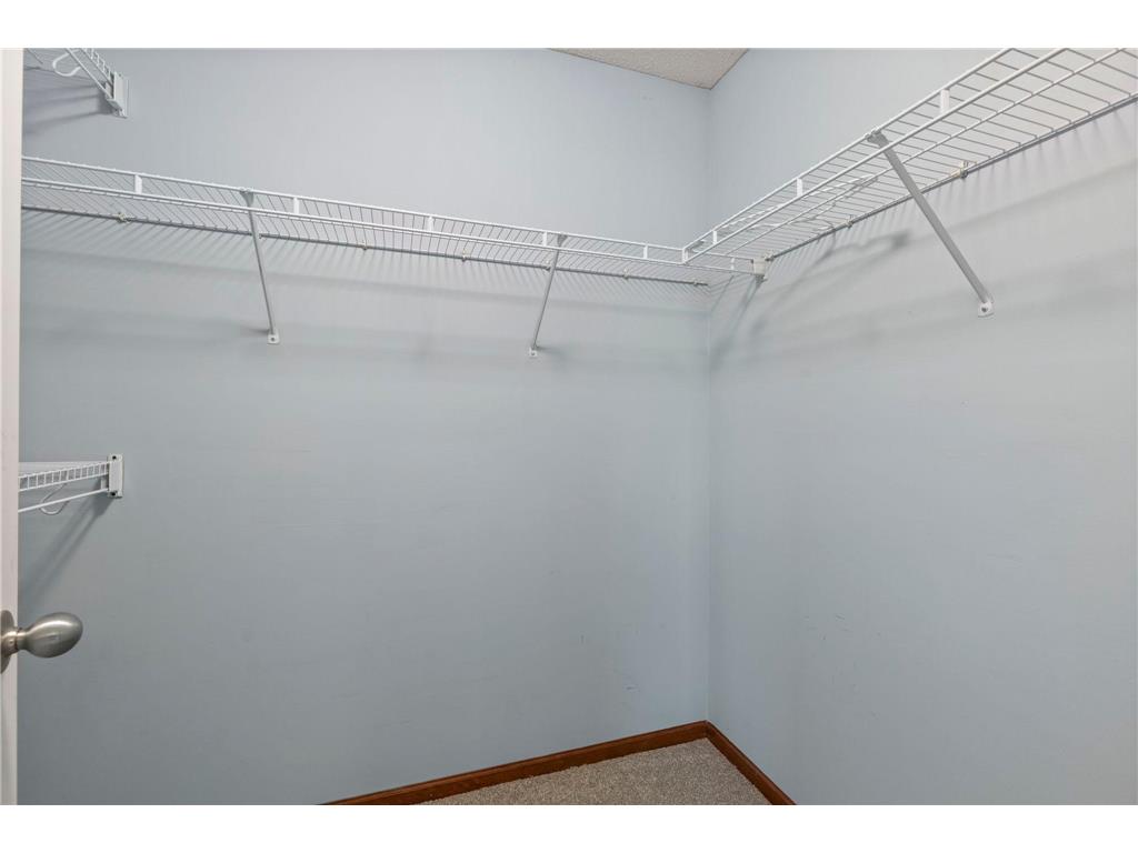 16217 50th Avenue N Plymouth MN 55446 7046898 image33