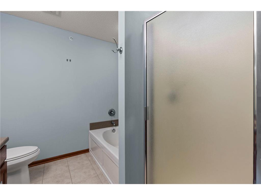 16217 50th Avenue N Plymouth MN 55446 7046898 image35