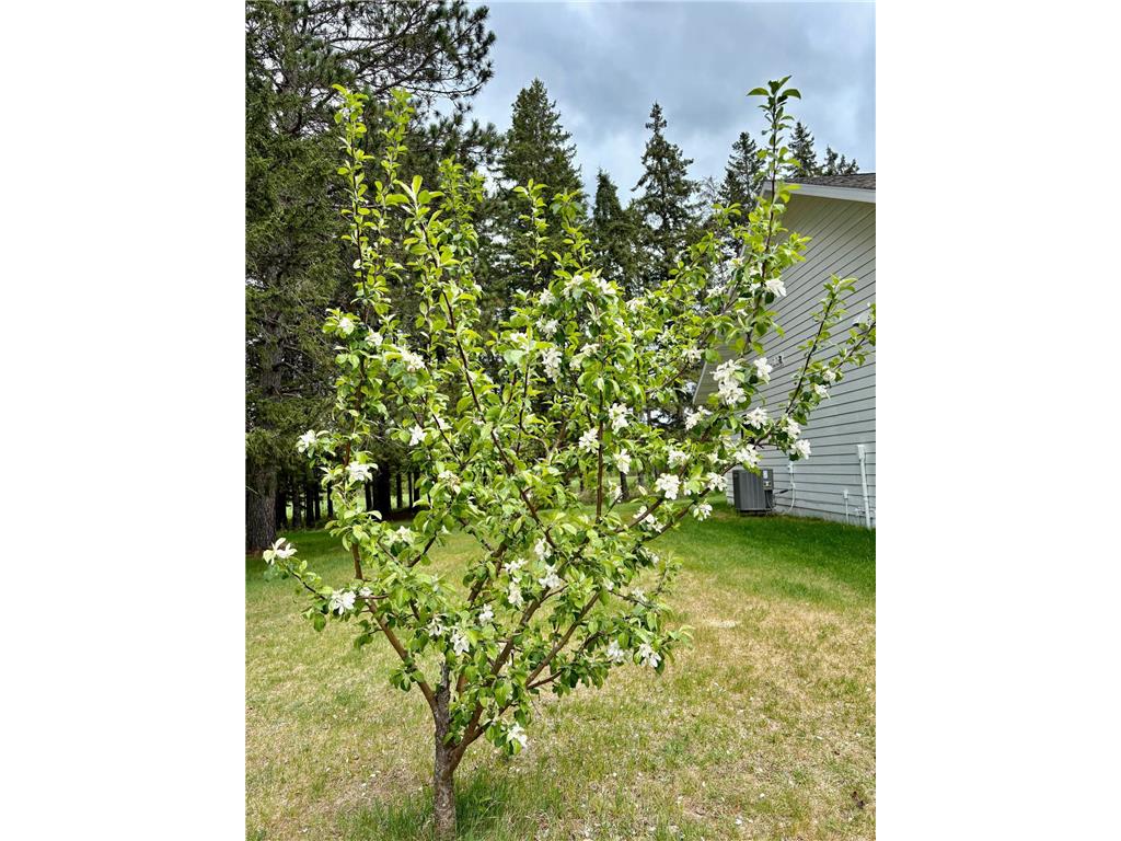 1622 82nd Avenue NW Williams MN 56686 6723341 image46