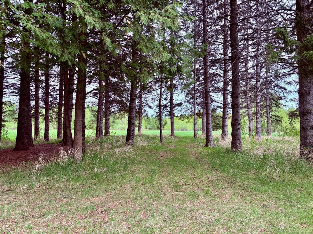 1622 82nd Avenue NW Williams MN 56686 6723341 image48