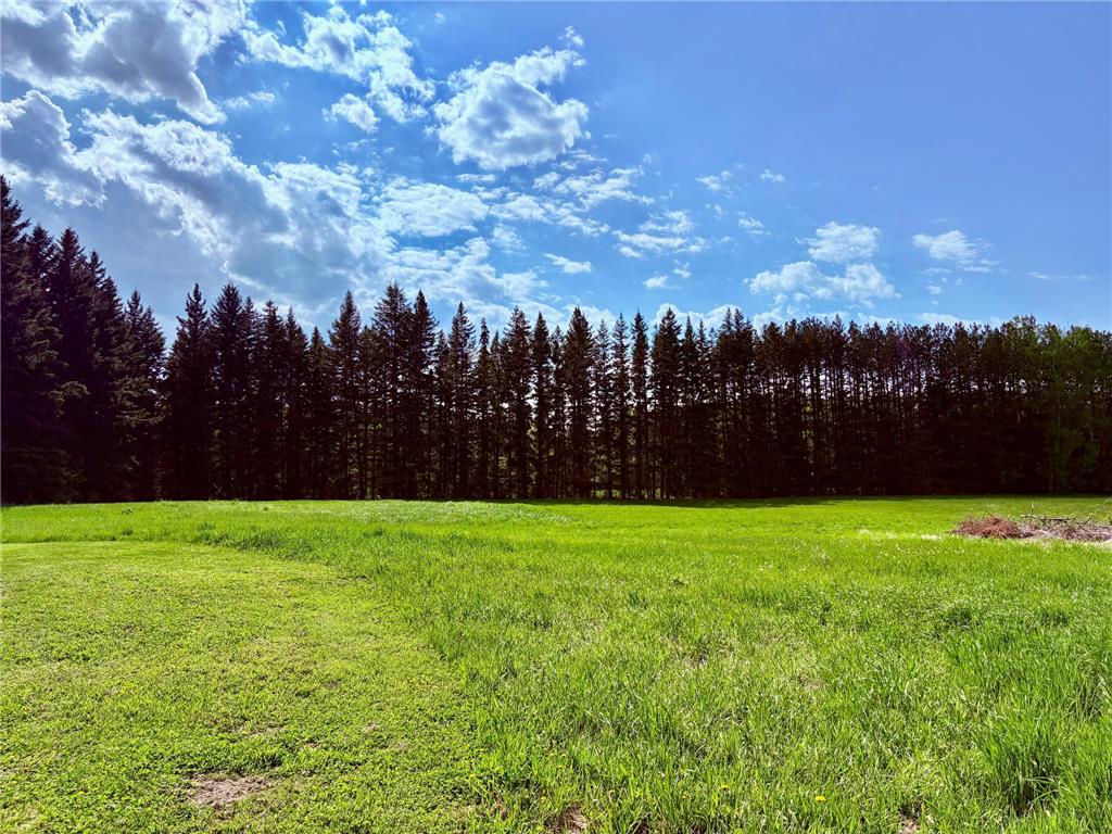 1622 82nd Avenue NW Williams MN 56686 6723341 image79