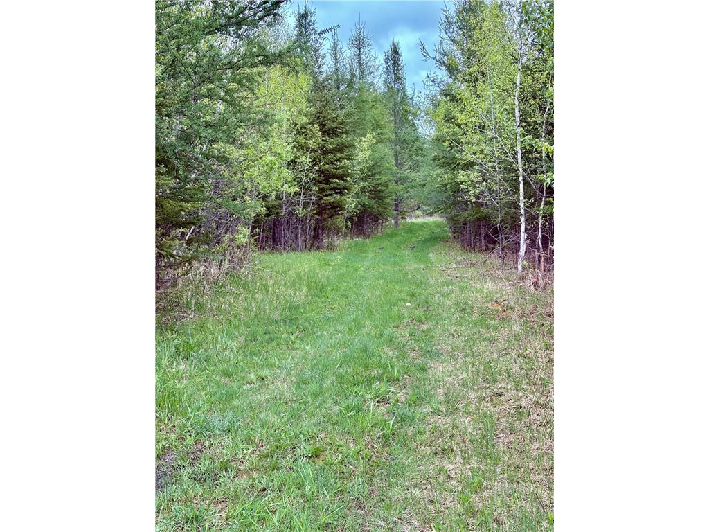 1622 82nd Avenue NW Williams MN 56686 6723341 image98