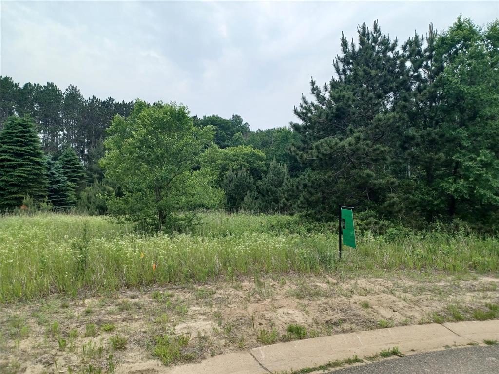 16220 Austin St NE Ham Lake MN 55304 6738161 image1