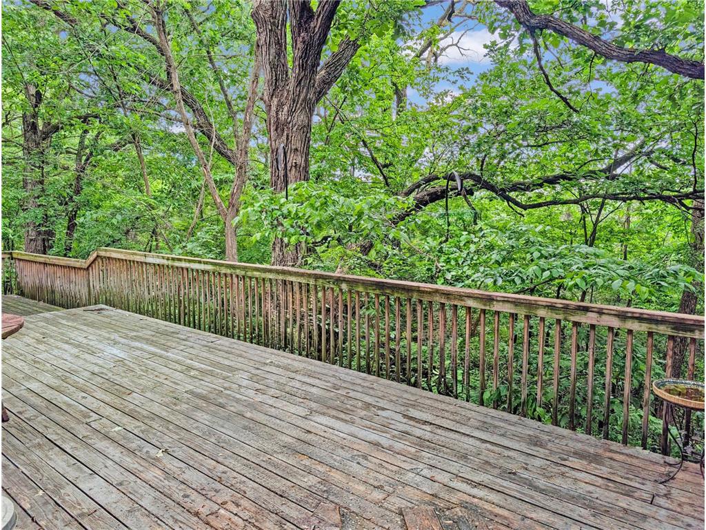 16220 Hayes Avenue San Francisco Twp MN 55315 - Bevens Creek 7069734 image10