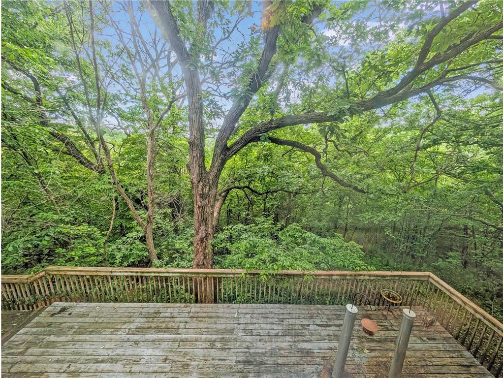 16220 Hayes Avenue San Francisco Twp MN 55315 - Bevens Creek 7069734 image25