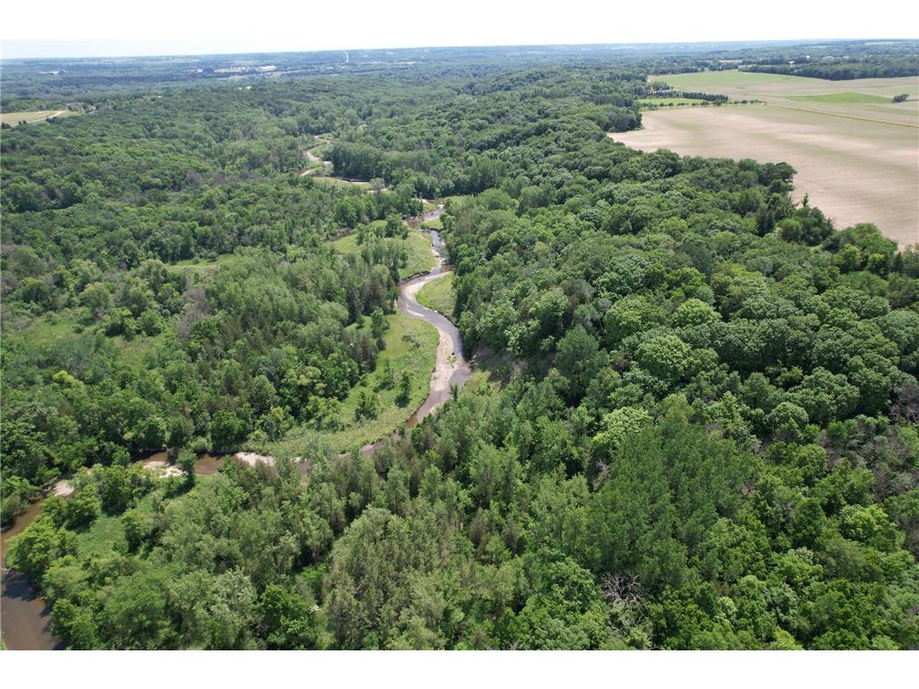 16220 Hayes Avenue San Francisco Twp MN 55315 - Bevens Creek 7069734 image35