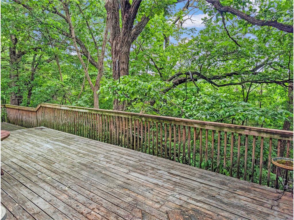 16220 Hayes Avenue San Francisco Twp MN 55315 - Bevens Creek 7069734 image4