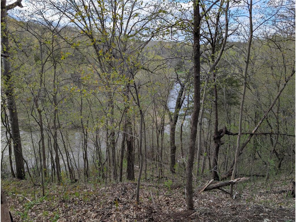 16220 Hayes Avenue San Francisco Twp MN 55315 - Bevens Creek 7069734 image44