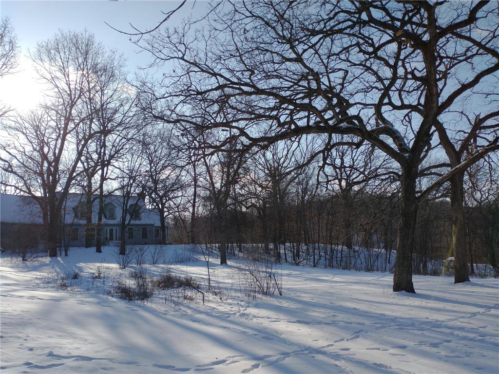 16220 Hayes Avenue San Francisco Twp MN 55315 - Bevens Creek 7069734 image52