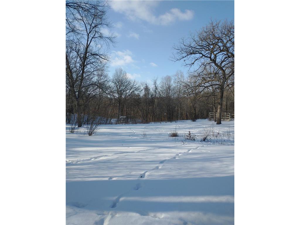16220 Hayes Avenue San Francisco Twp MN 55315 - Bevens Creek 7069734 image53