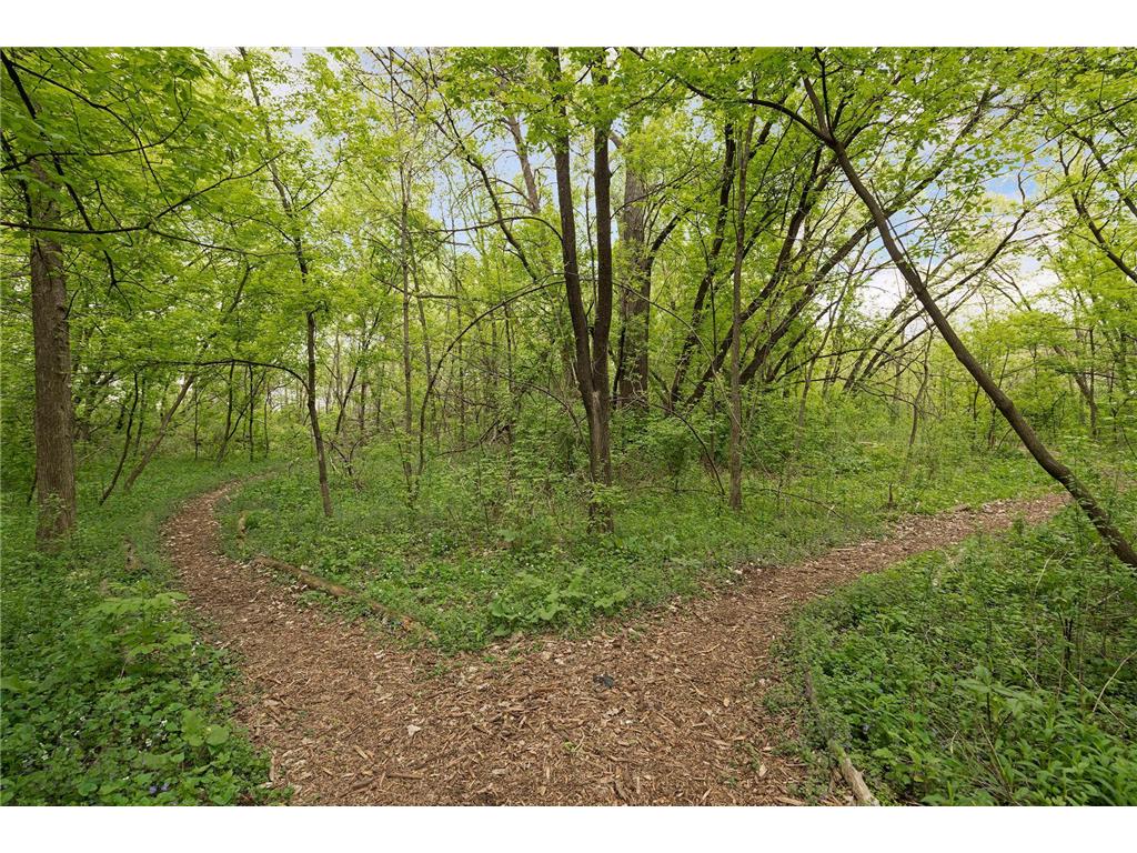 1623 York Avenue Saint Paul MN 55106 7064379 image33