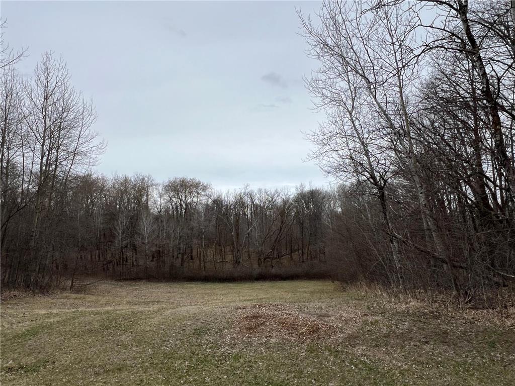 16236 305th Avenue Detroit Lakes MN 56501 7018594 image22