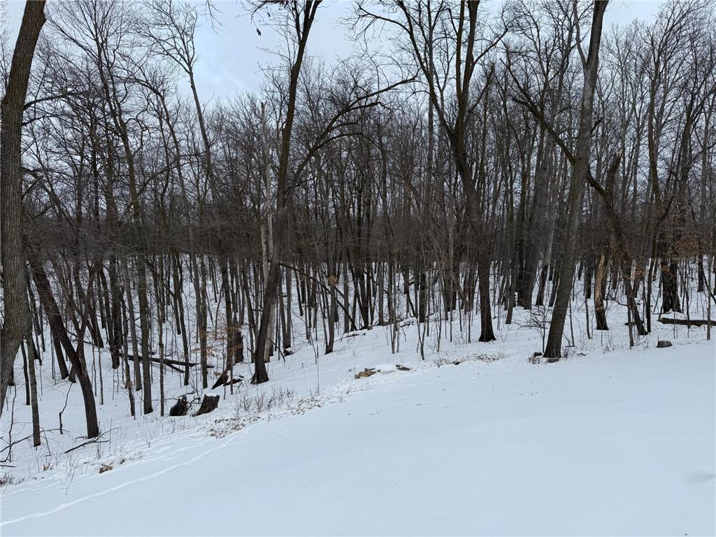 16236 305th Avenue Detroit Lakes MN 56501 7018594 image44