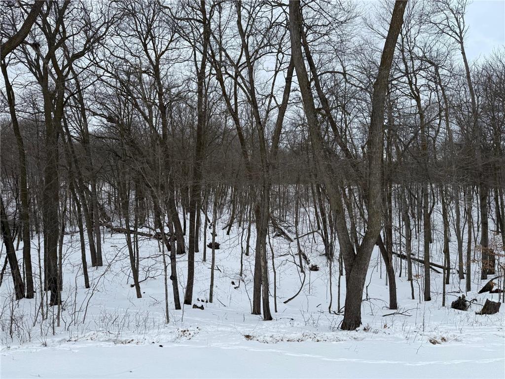 16236 305th Avenue Detroit Lakes MN 56501 7018594 image45