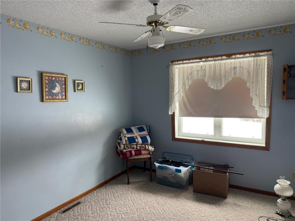 16236 305th Avenue Detroit Lakes MN 56501 7018594 image49