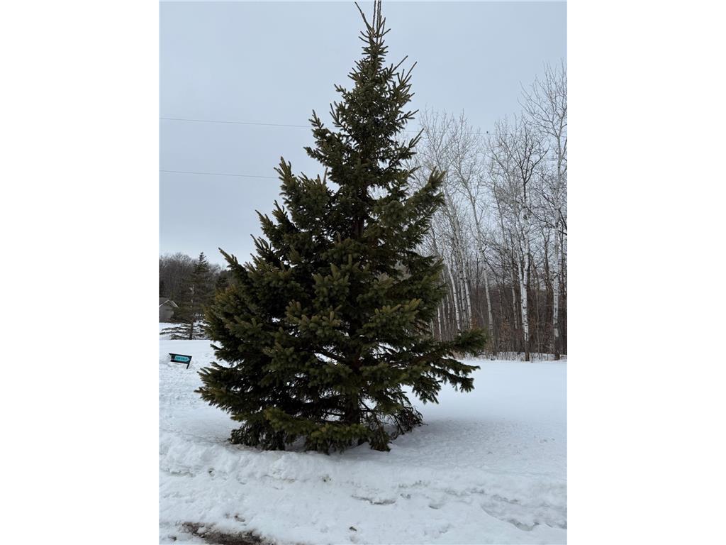 16236 305th Avenue Detroit Lakes MN 56501 7018594 image53