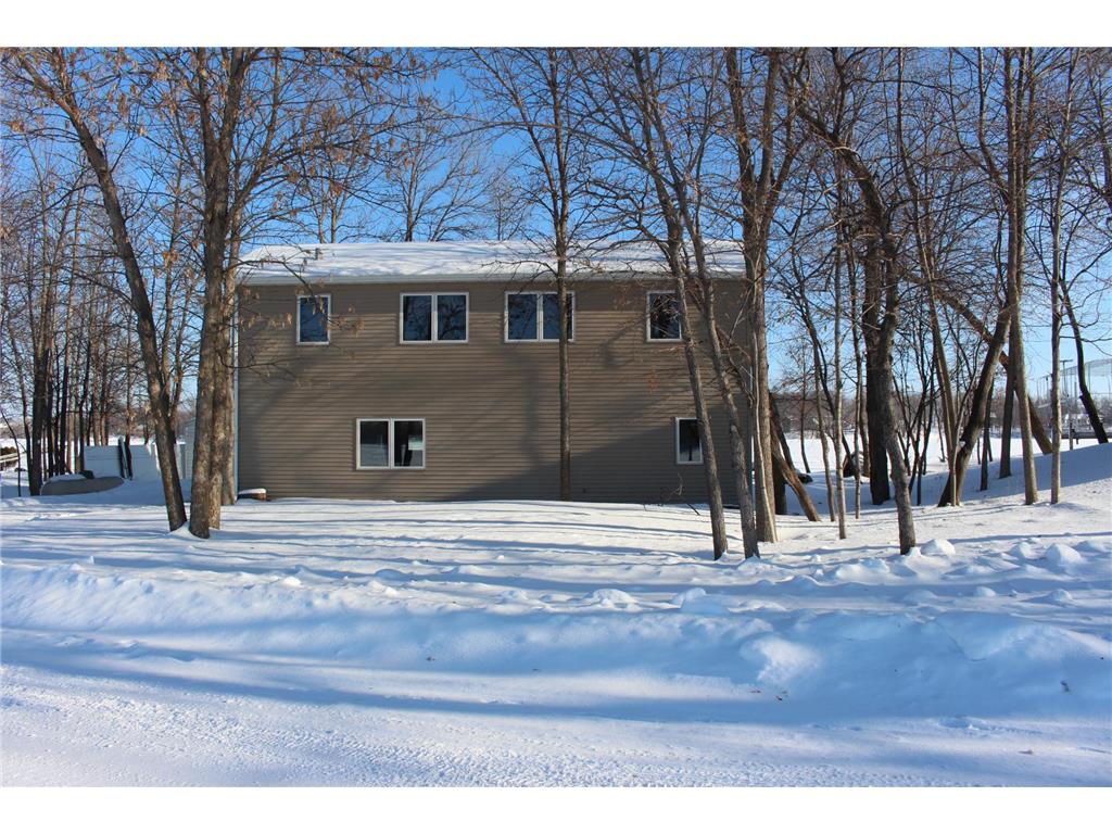 16237 Sugar Island Road Audubon MN 56511 - Little Cormorant 6323596 image1