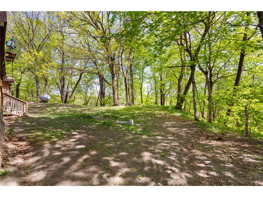 16244 560th Lane Lyra Twp MN 56037 - Maple River 7104712 image12
