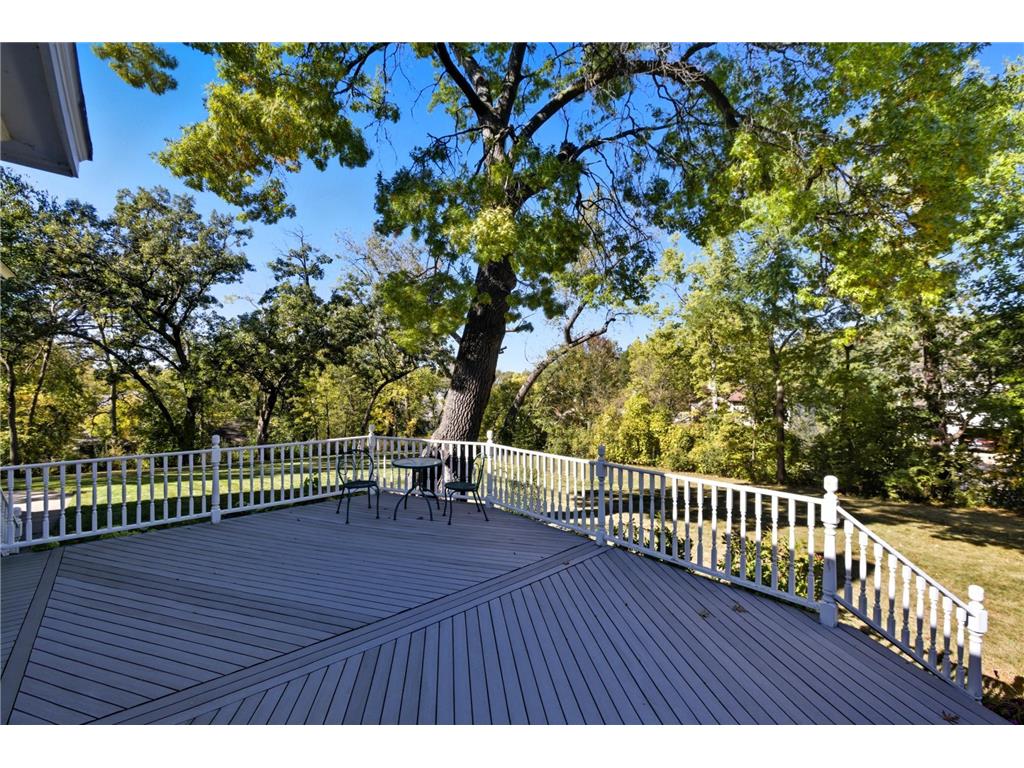 1625 3rd Avenue Anoka MN 55303 - Mississippi 6799718 image44