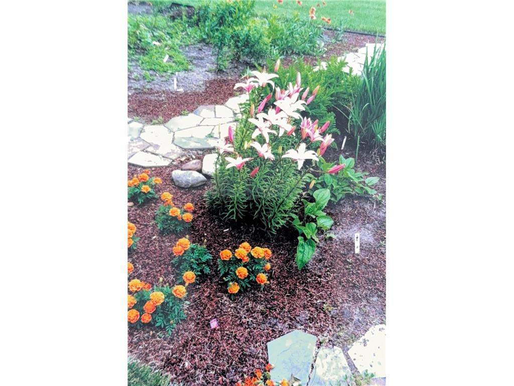 1626 Melvina Lane SW Alexandria MN 56308 - Winona 6811293 image36