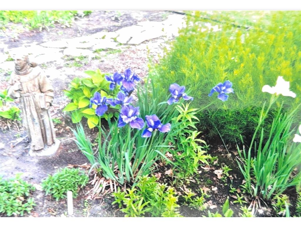 1626 Melvina Lane SW Alexandria MN 56308 - Winona 6811293 image38