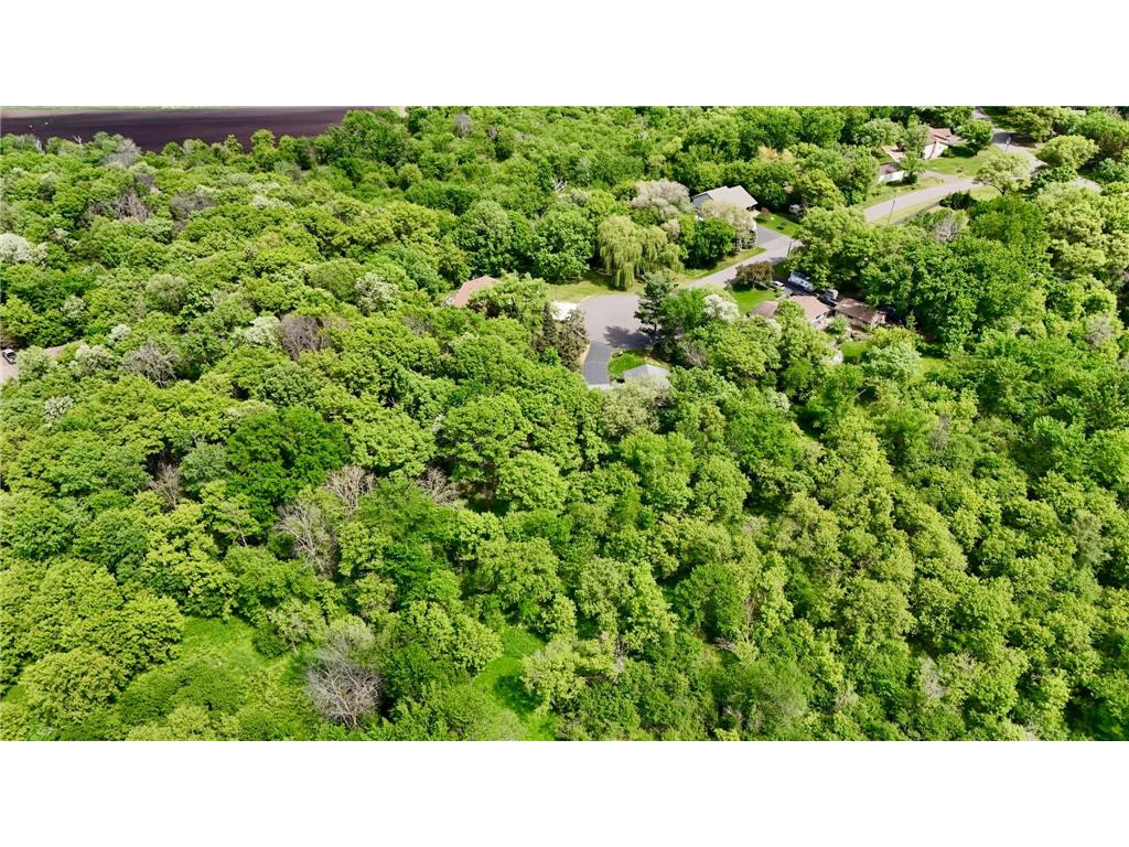 16260 Xenia Street NW Andover MN 55304 7081837 image4