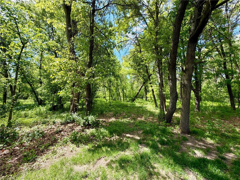 16260 Xenia Street NW Andover MN 55304 7081837 image6