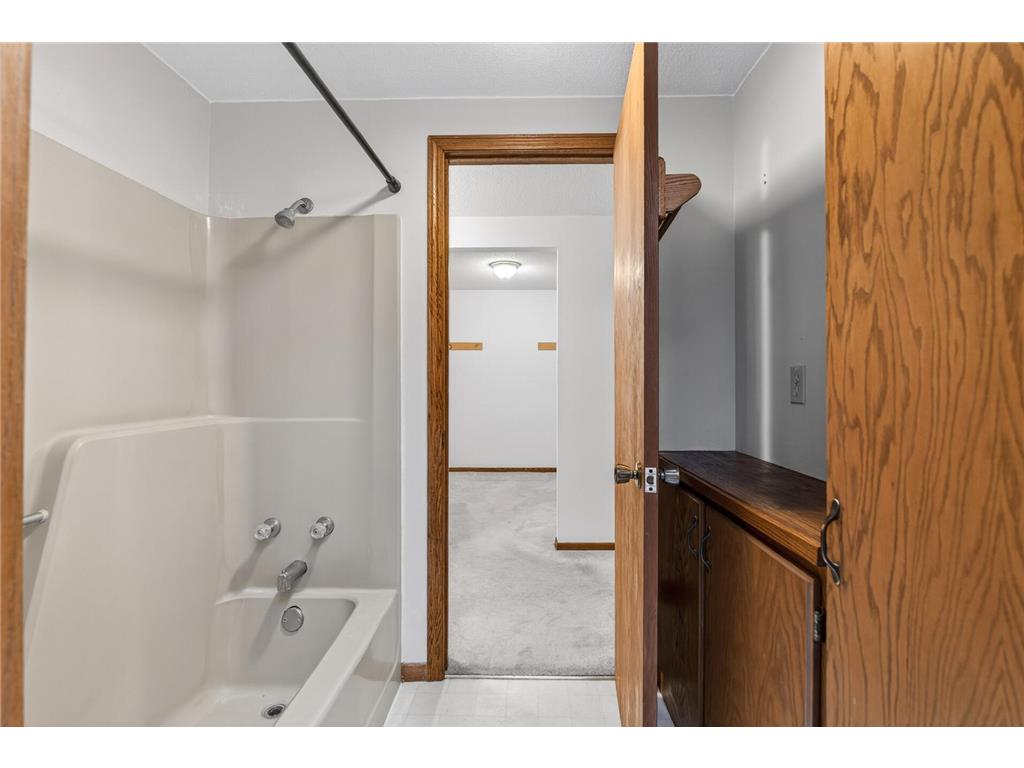 16266 172nd Avenue SE Becker Twp MN 55309 7087371 image38