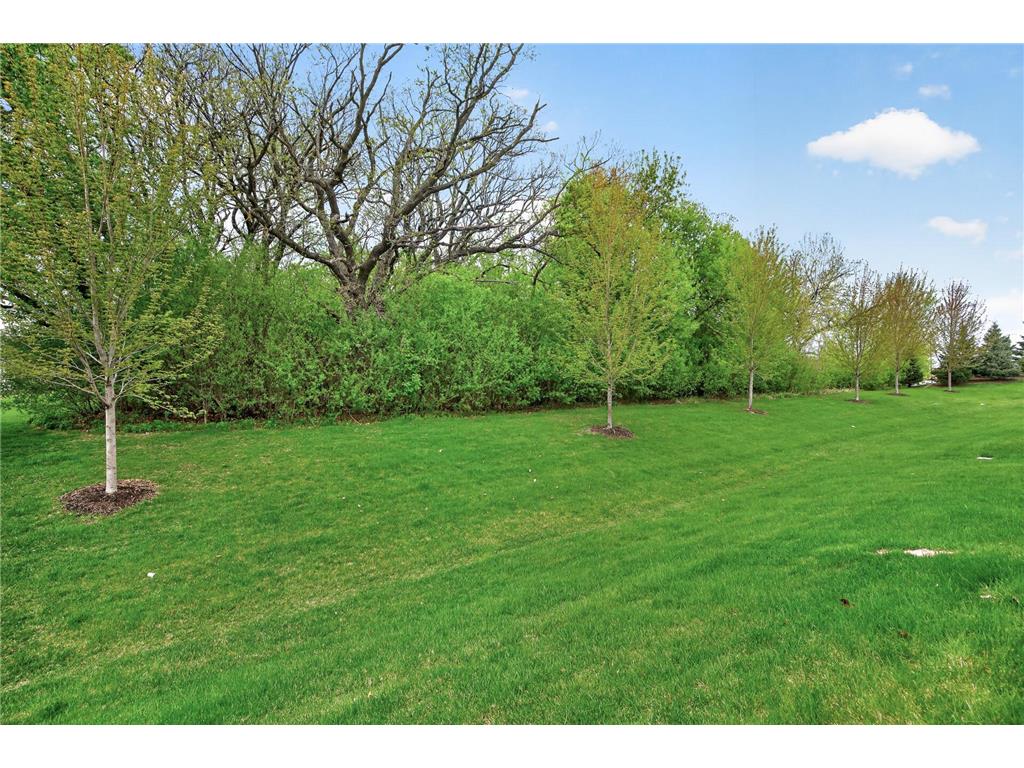 16273 Engelman Way Lakeville MN 55044 7062959 image38