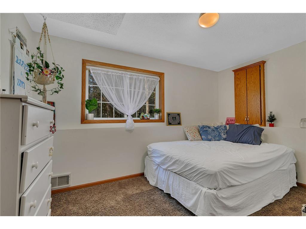 16282 41st Street Santiago Twp MN 55308 7062857 image22
