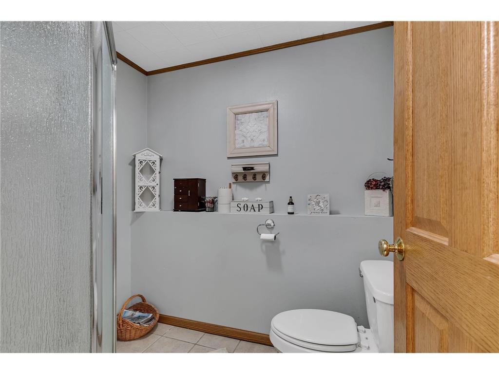 16282 41st Street Santiago Twp MN 55308 7062857 image24