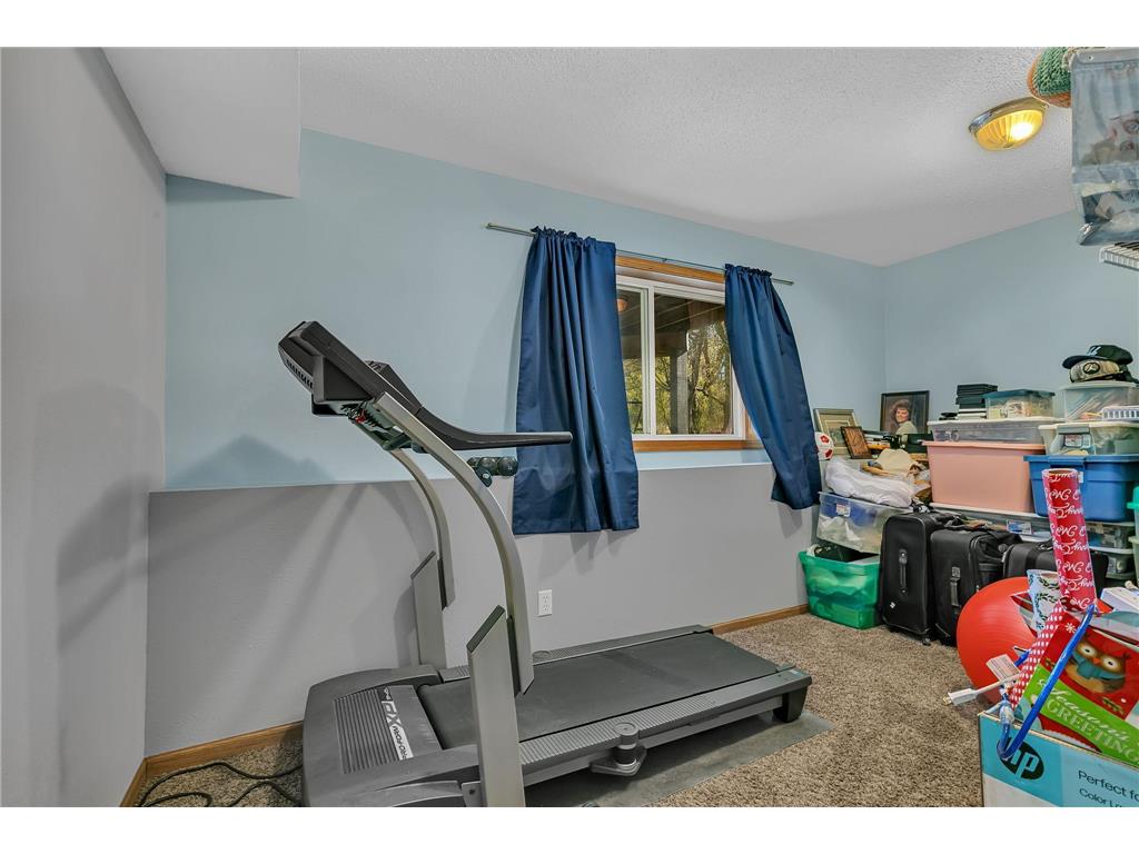 16282 41st Street Santiago Twp MN 55308 7062857 image25