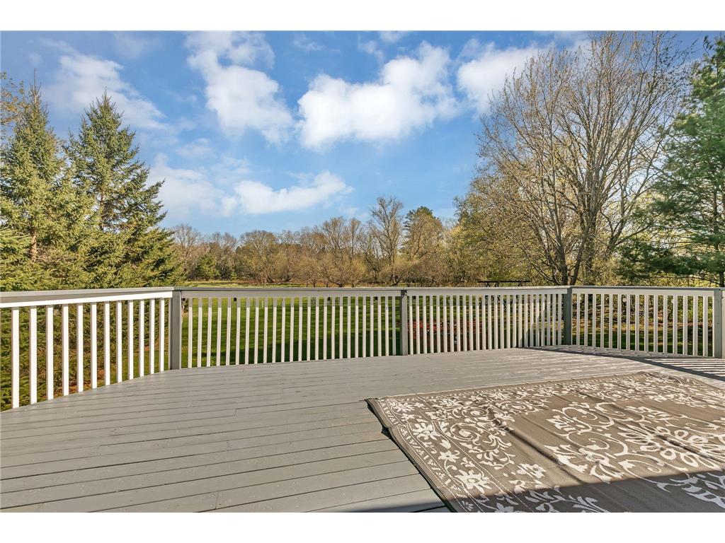 16282 41st Street Santiago Twp MN 55308 7062857 image26