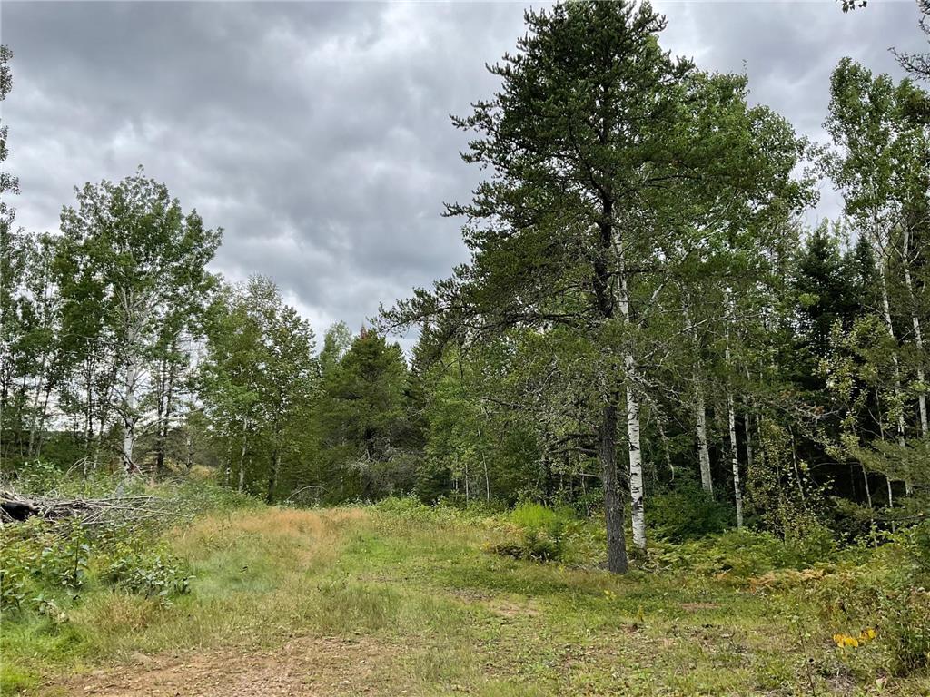 163 Pancore Lake Road Tofte Twp MN 55615 6794976 image3