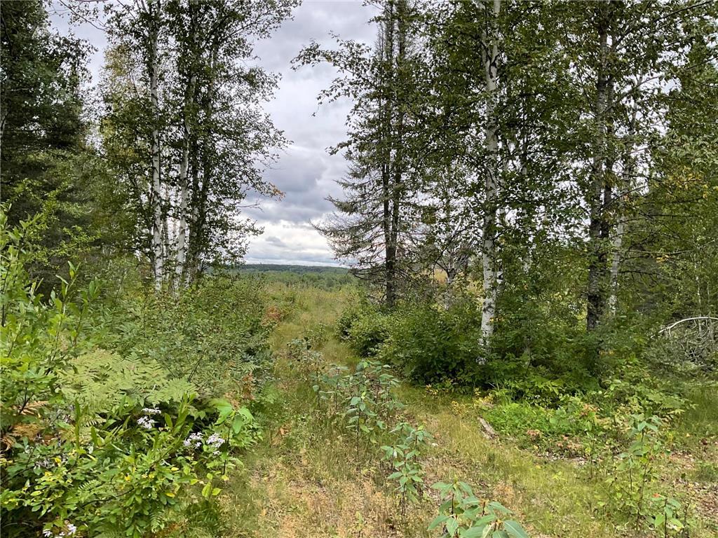 163 Pancore Lake Road Tofte Twp MN 55615 6794976 image6