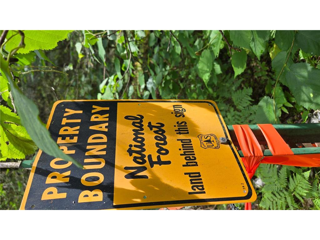 163 Rollick Creek Crane Lake Twp MN 55725 - Crane 6754006 image13