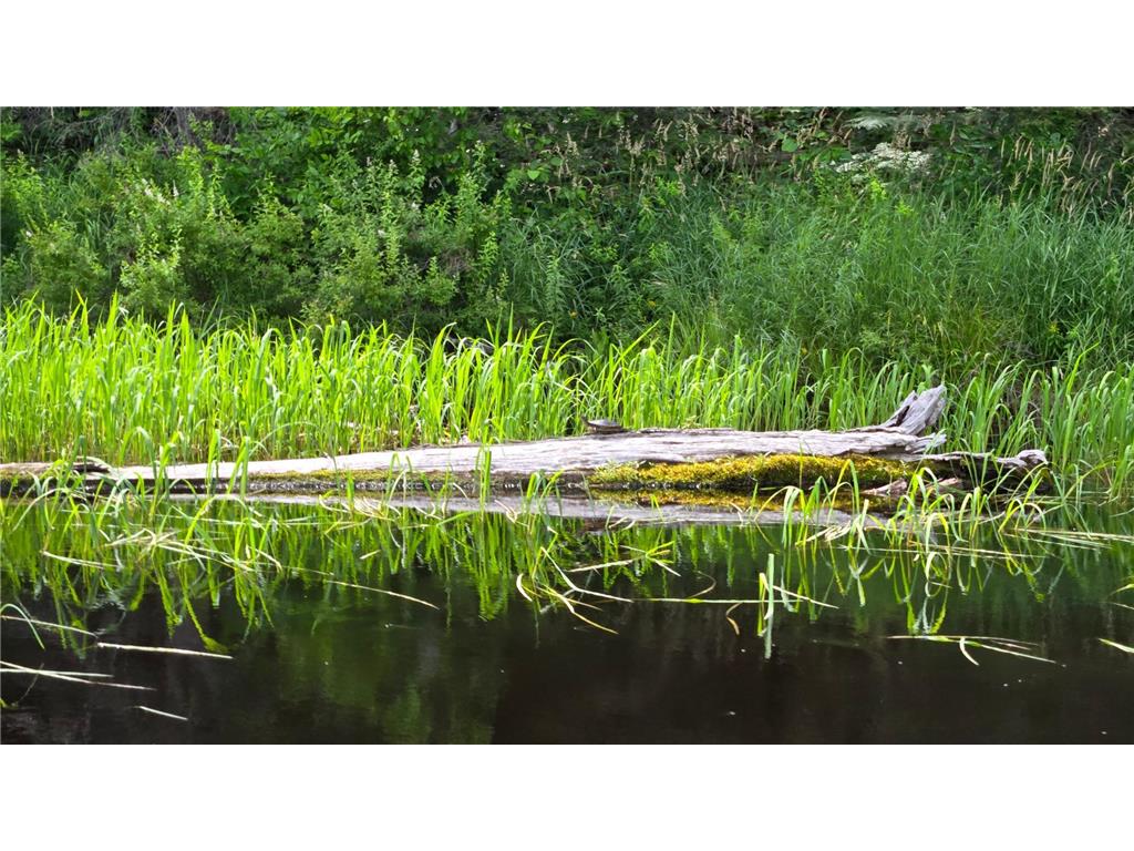 163 Rollick Creek Crane Lake Twp MN 55725 - Crane 6754006 image15