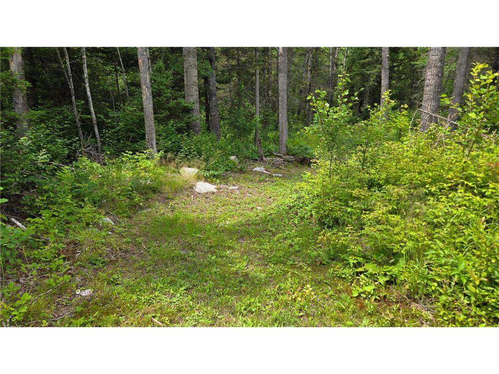 163 Rollick Creek Crane Lake Twp MN 55725 - Crane 6754006 image39