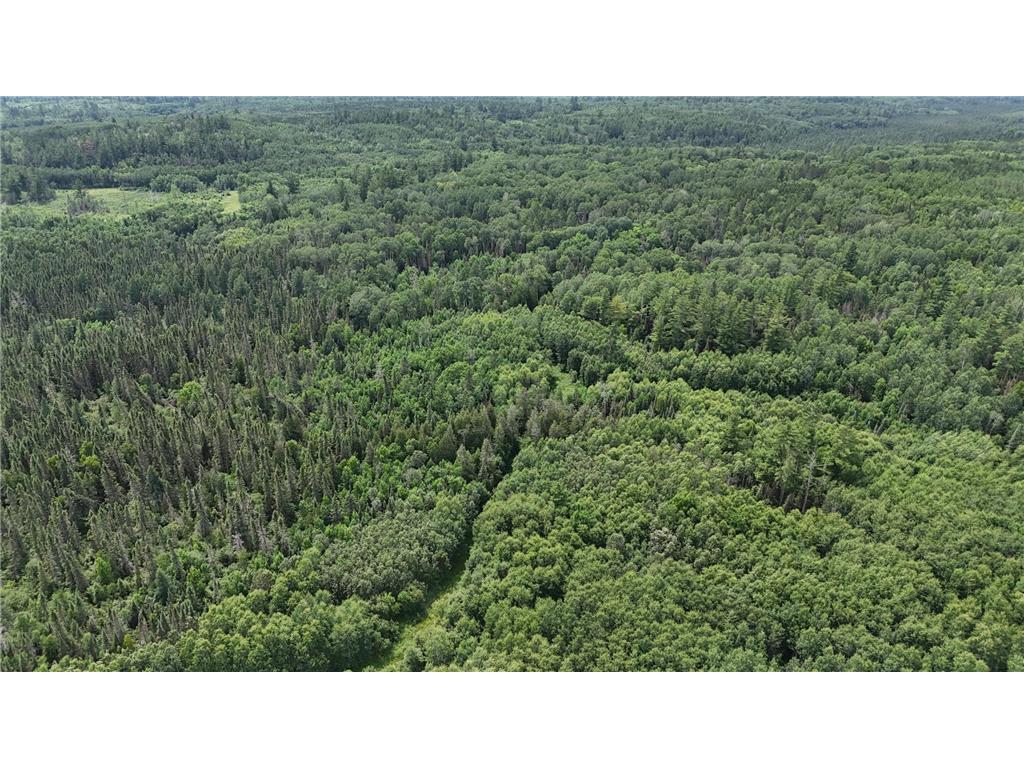 163 Rollick Creek Crane Lake Twp MN 55725 - Crane 6754006 image42