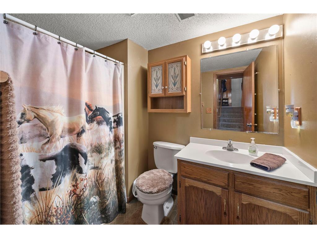 1630 108th Lane NW Coon Rapids MN 55433 7104559 image24