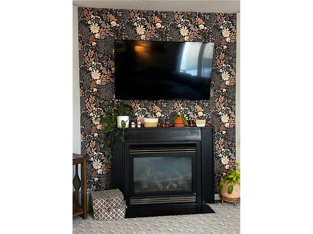 1630 8th Avenue Granite Falls MN 56241 7028256 image18