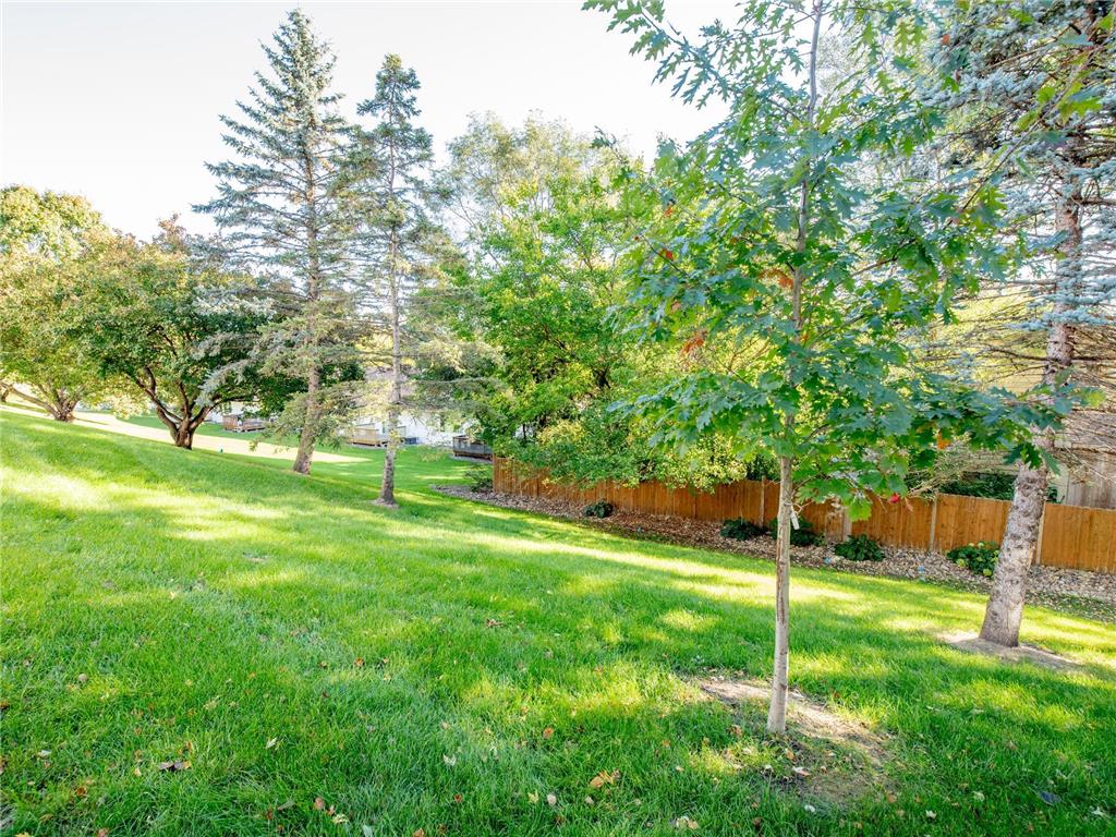 1630 Mackubin Street Saint Paul MN 55117 7031368 image46