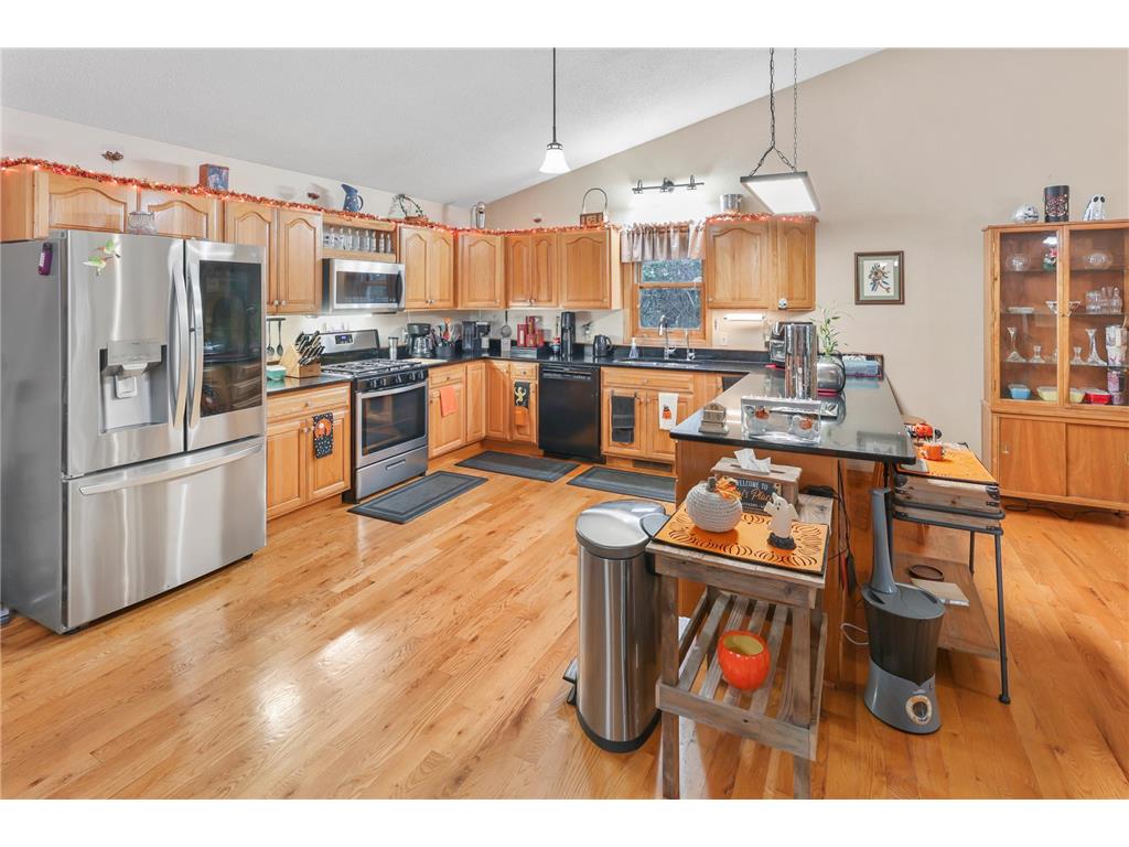 16313 Gowan Avenue NW Clearwater Twp MN 55320 - Fish 6798740 image12
