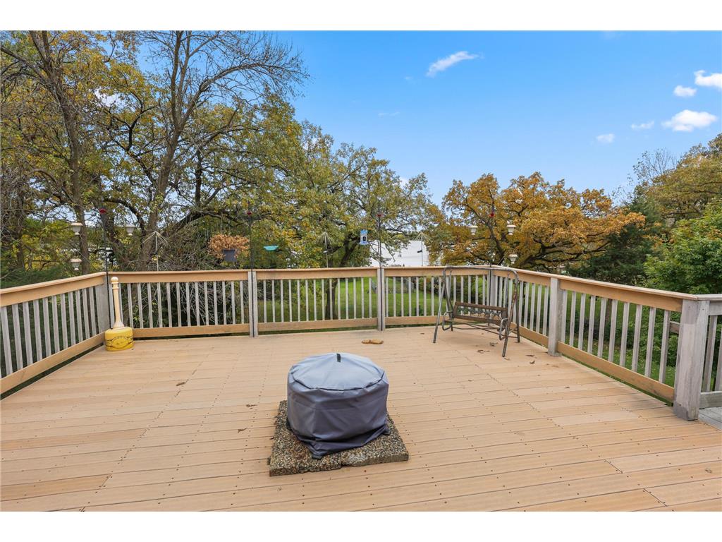 16313 Gowan Avenue NW Clearwater Twp MN 55320 - Fish 6798740 image4