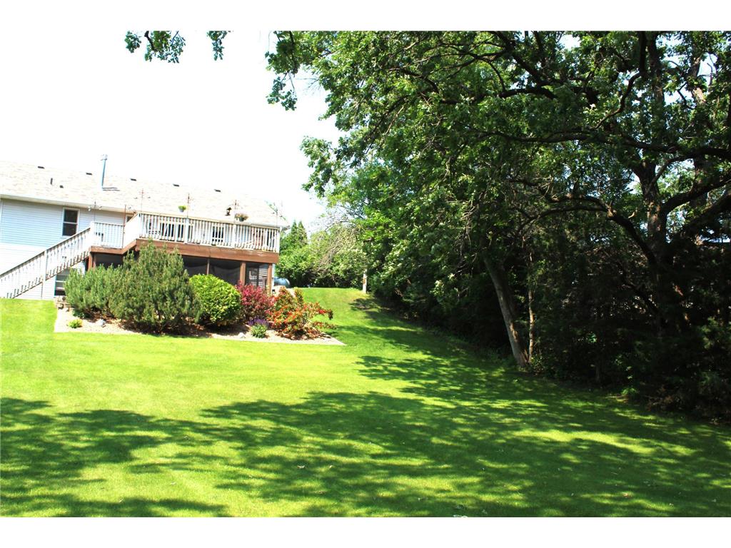 16313 Gowan Avenue NW Clearwater Twp MN 55320 - Fish 6798740 image48