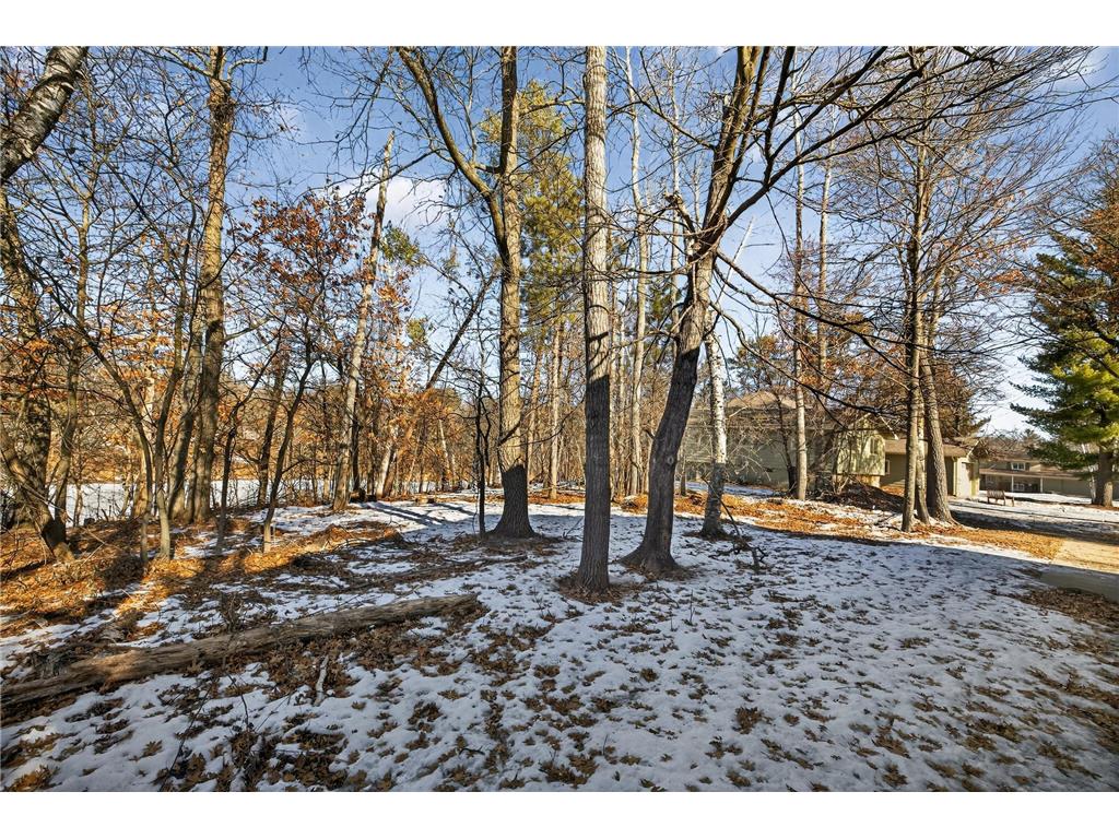 16316 Birchwood Lane Brainerd MN 56401 - Gilbert Lake 7030379 image38