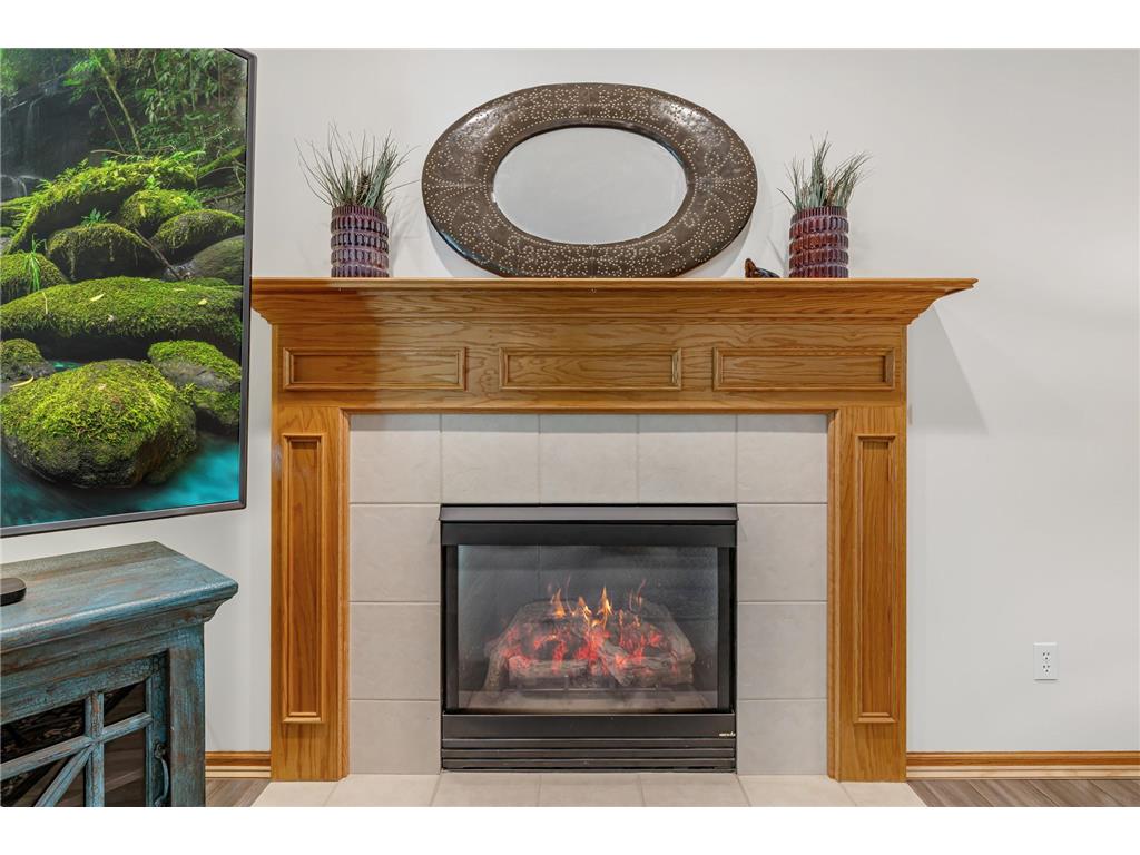 16319 Holbrook Avenue Lakeville MN 55044 7072419 image25